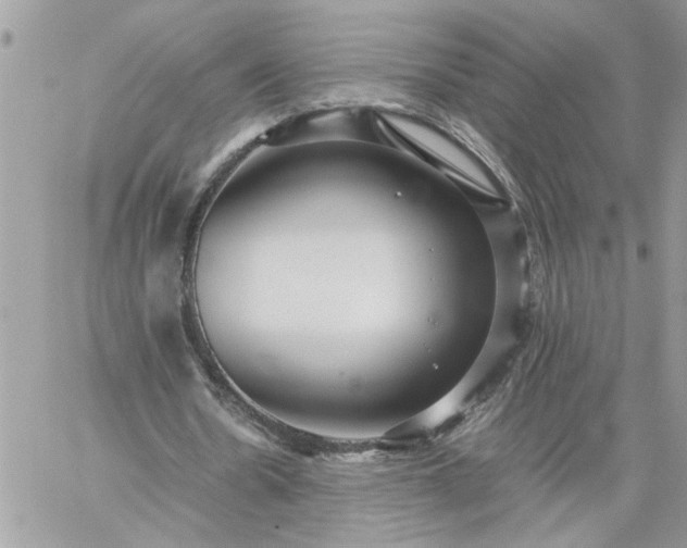 X0000059090530200510172057