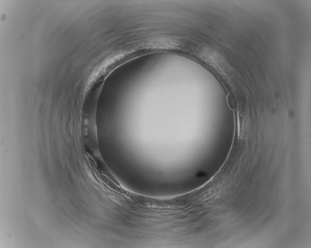 X0000059090531200510172057