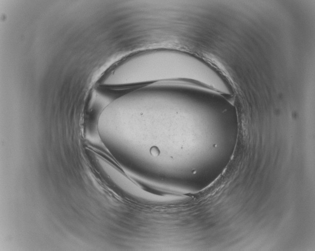 X0000059090532200510172057