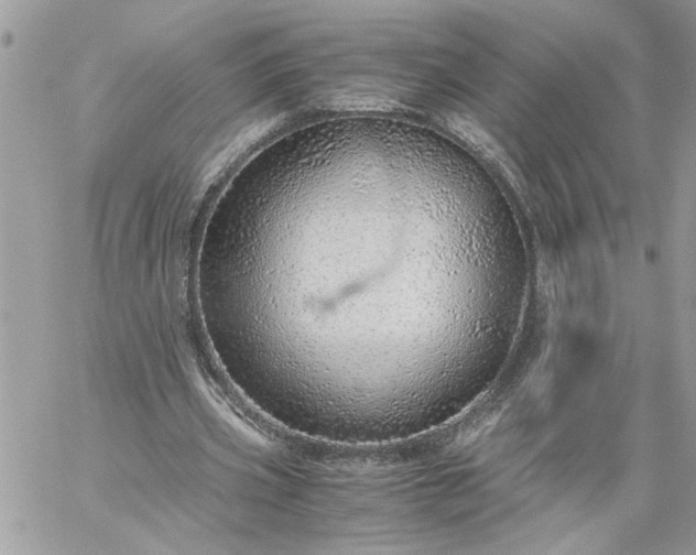 X0000059090533200510172057