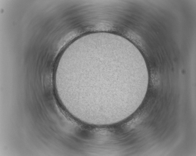 X0000059090534200510172057