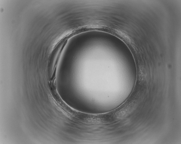 X0000059090535200510172057