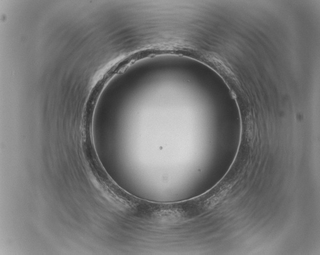 X0000059090536200510172057