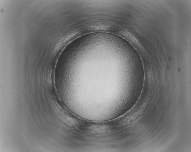 X0000059090537200510172057