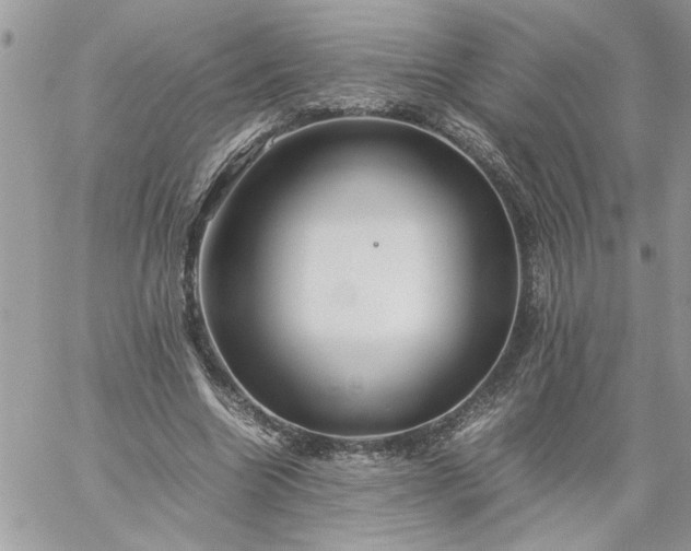 X0000059090538200510172057