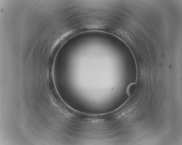 X0000059090539200510172057