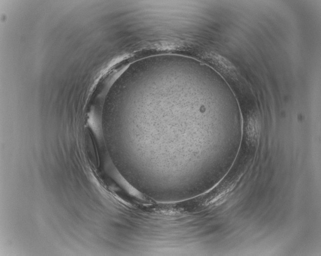 X0000059090540200510172057