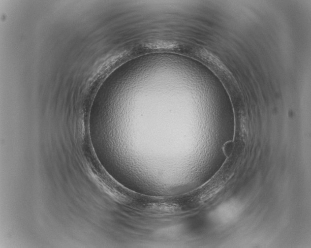 X0000059090541200510172057