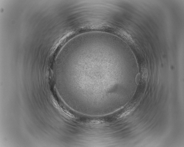 X0000059090542200510172057