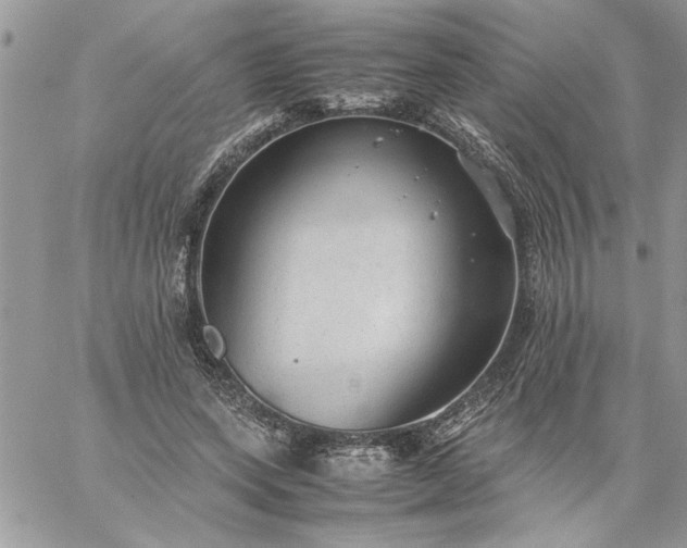 X0000059090543200510172057