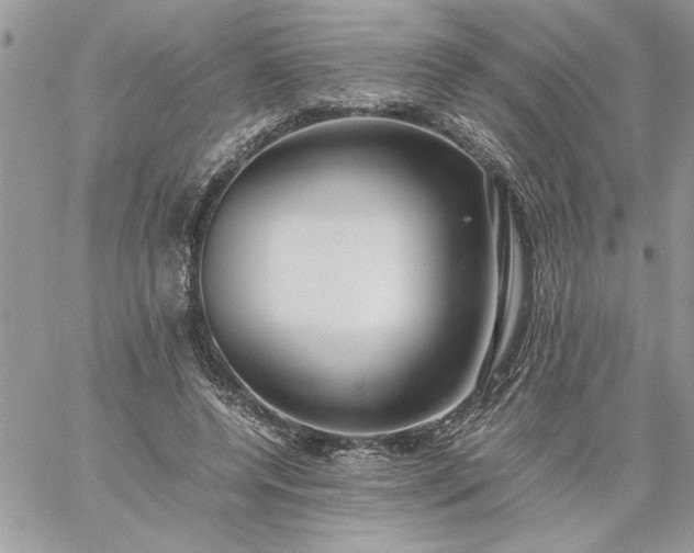 X0000059090544200510172057