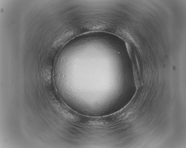 X0000059090545200510172057