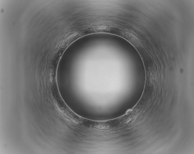 X0000059090546200510172057