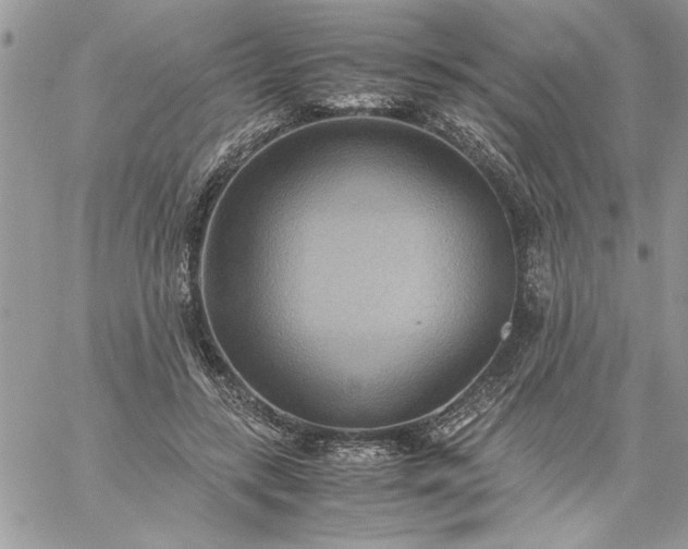 X0000059090547200510172057