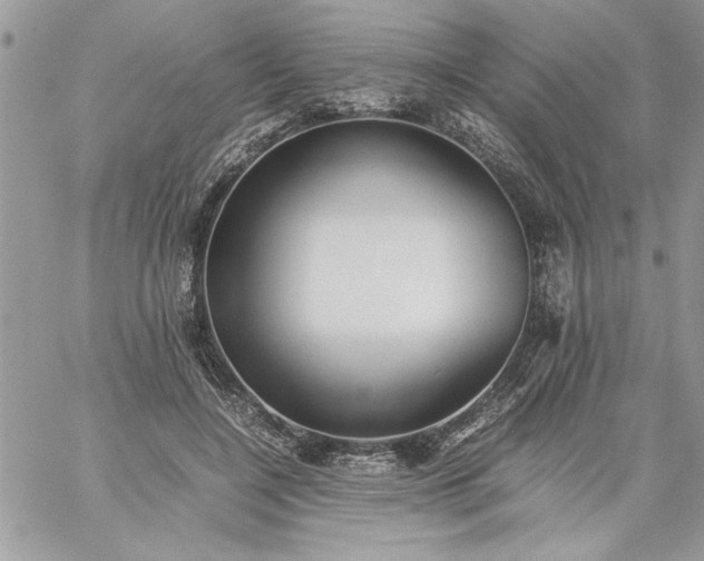 X0000059090548200510172057