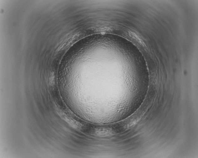 X0000059090549200510172057