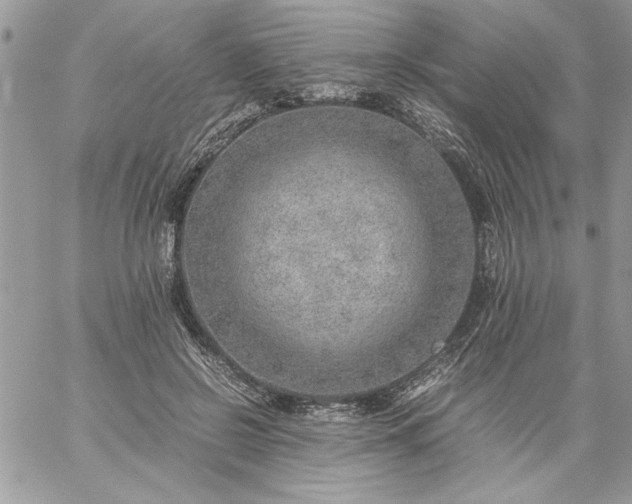 X0000059090550200510172057