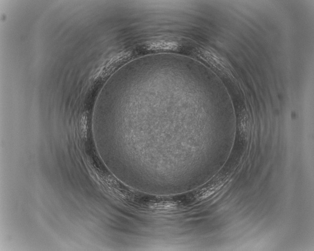 X0000059090551200510172057