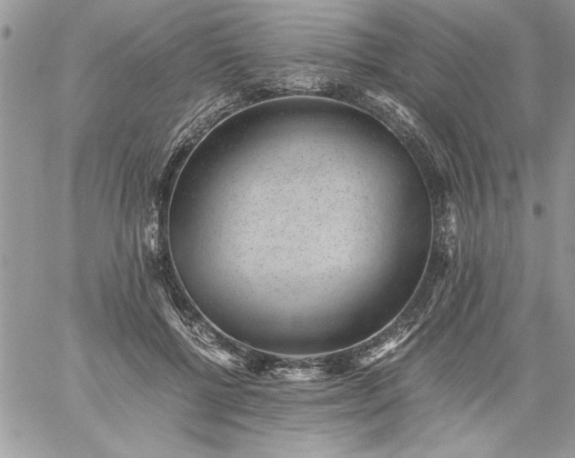 X0000059090552200510172057