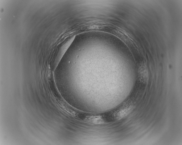 X0000059090554200510172057