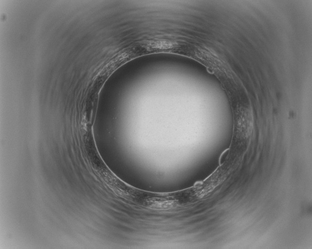 X0000059090555200510172057