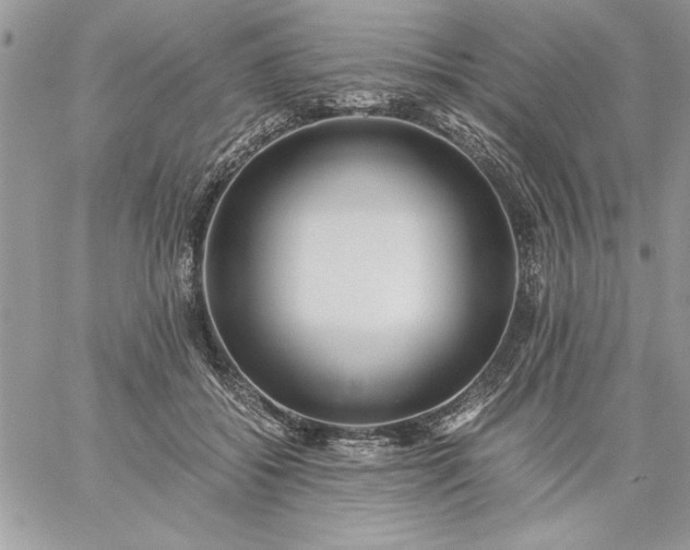 X0000059090556200510172057