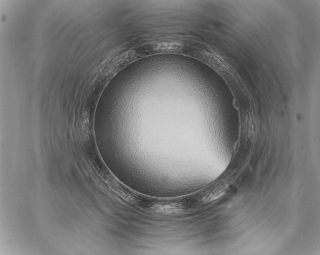 X0000059090557200510172057