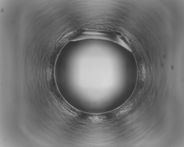 X0000059090558200510172057