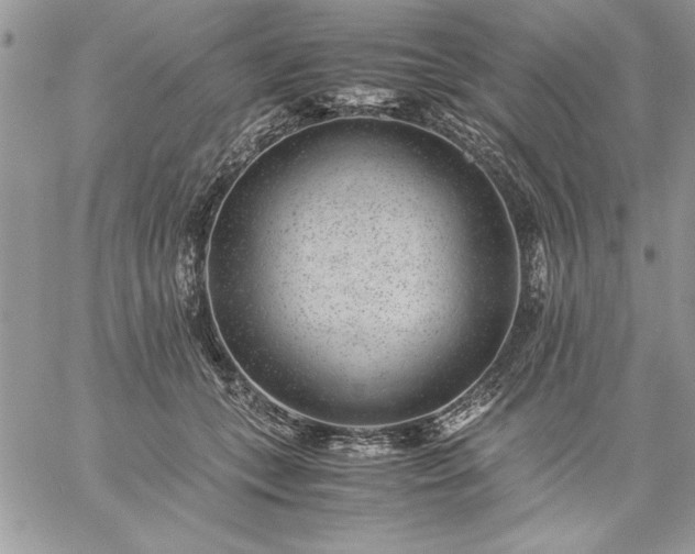 X0000059090559200510172057