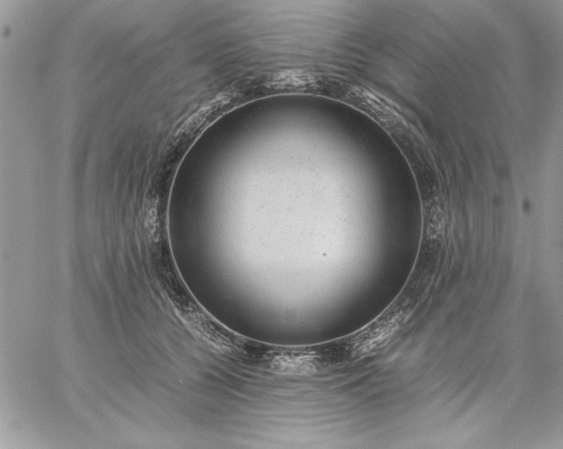 X0000059090560200510172057