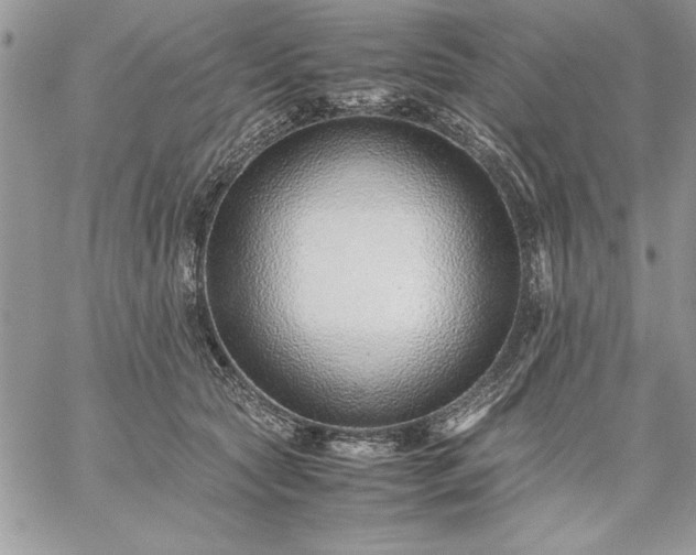 X0000059090561200510172057