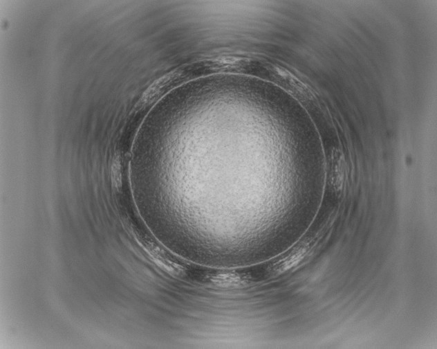 X0000059090562200510172057