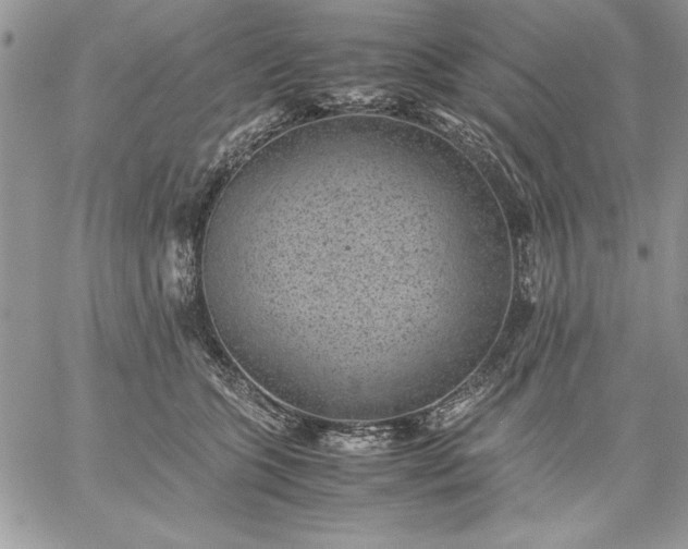 X0000059090563200510172057