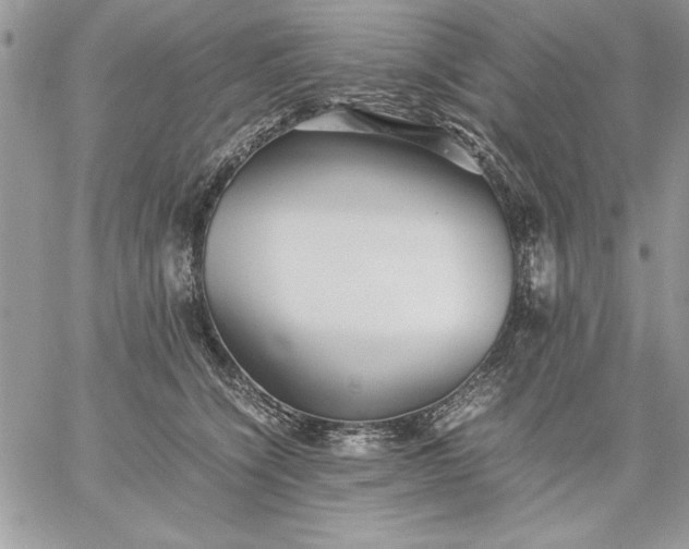 X0000059090564200510172057