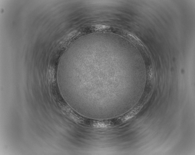 X0000059090565200510172057