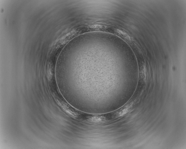 X0000059090566200510172057