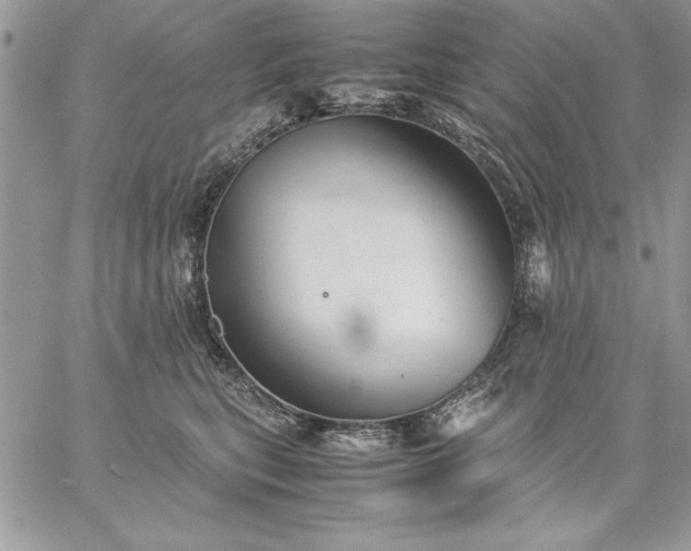 X0000059090567200510172058