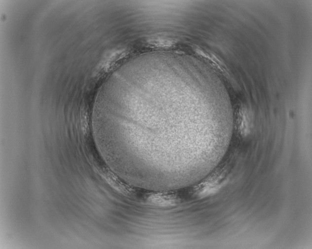 X0000059090568200510172058