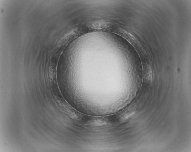 X0000059090569200510172058