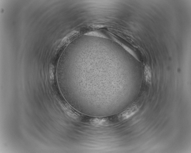 X0000059090570200510172058