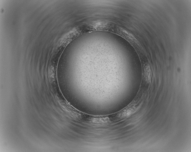 X0000059090571200510172058