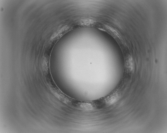 X0000059090572200510172058