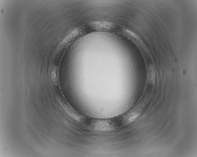 X0000059090573200510172058