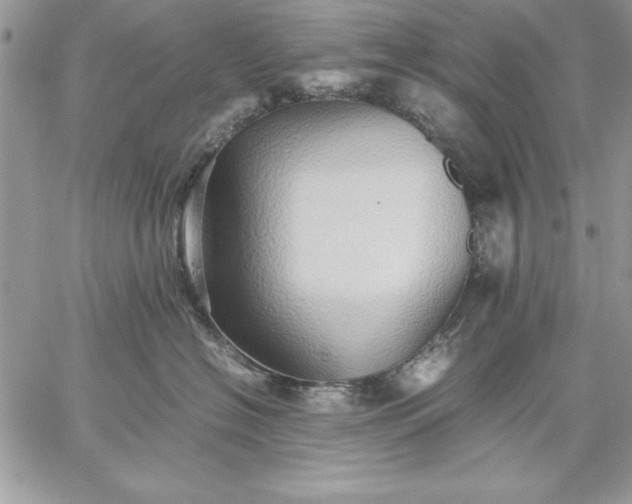 X0000059090574200510172058