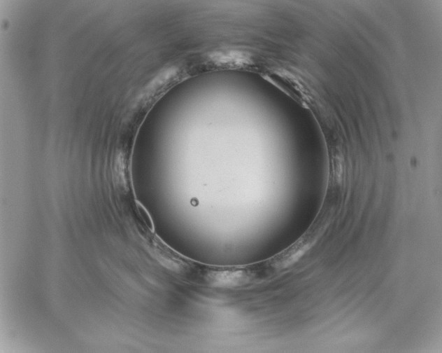 X0000059090575200510172058