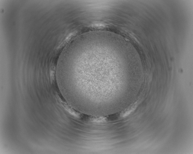 X0000059090576200510172058