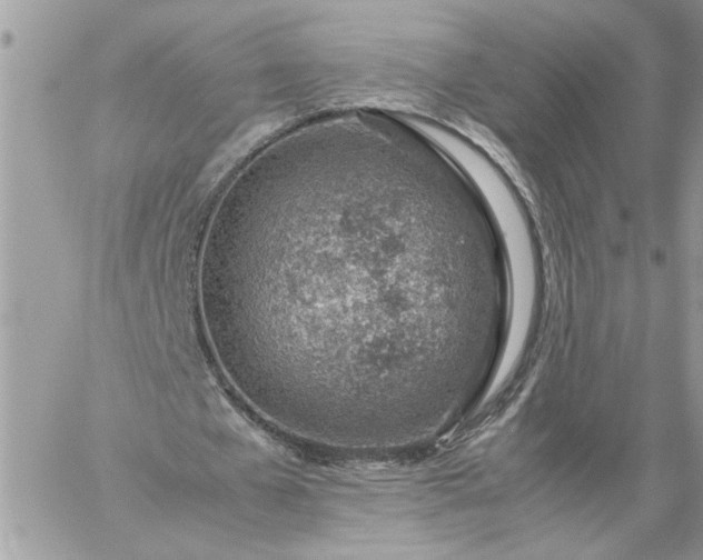 X0000059090577200510172057