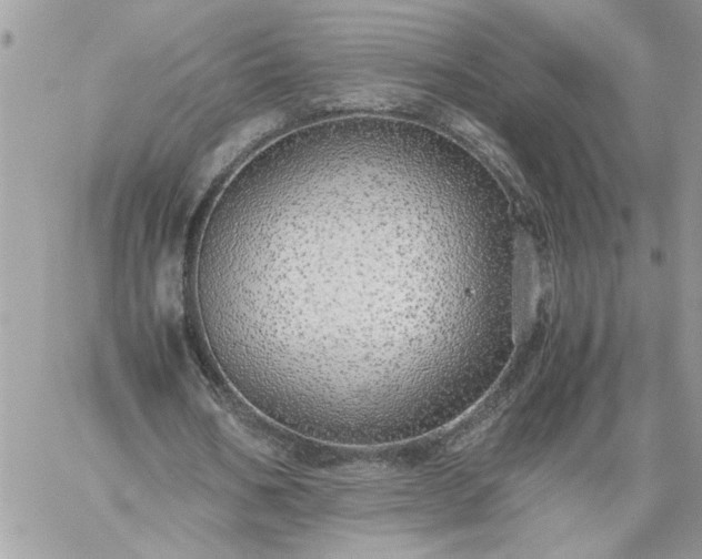 X0000059090578200510172057