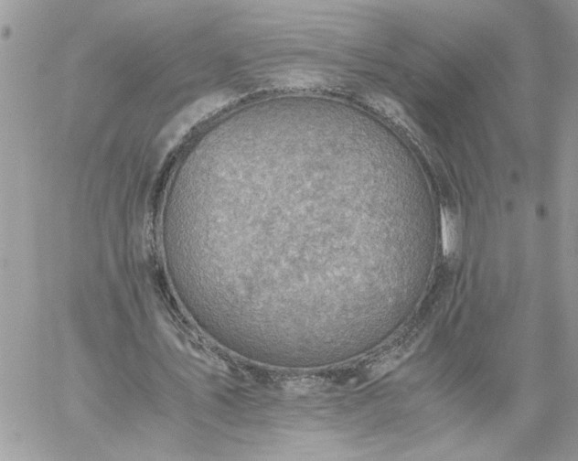 X0000059090579200510172057