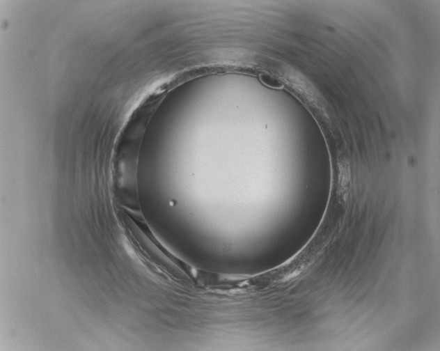 X0000059090580200510172057